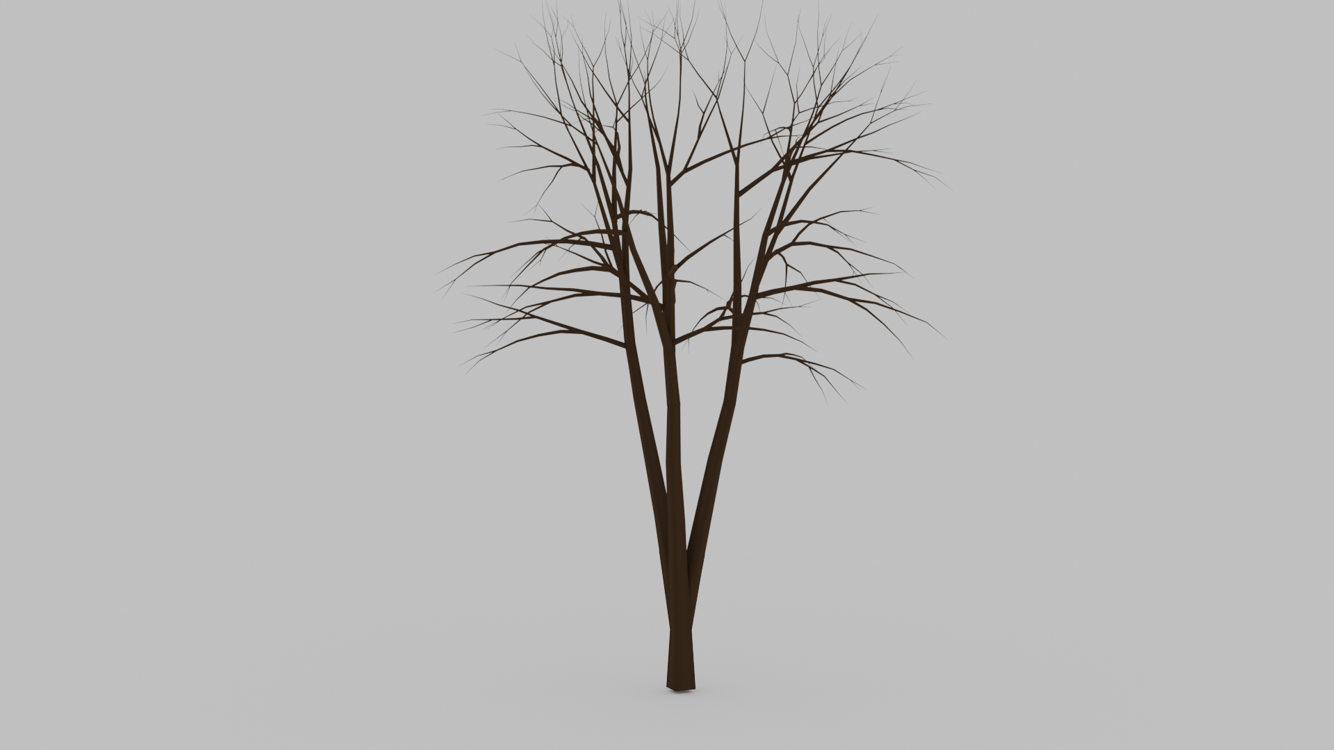 tree-without-leaves-clearly-development